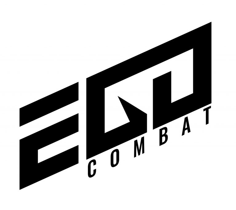 finale_EGO_combat